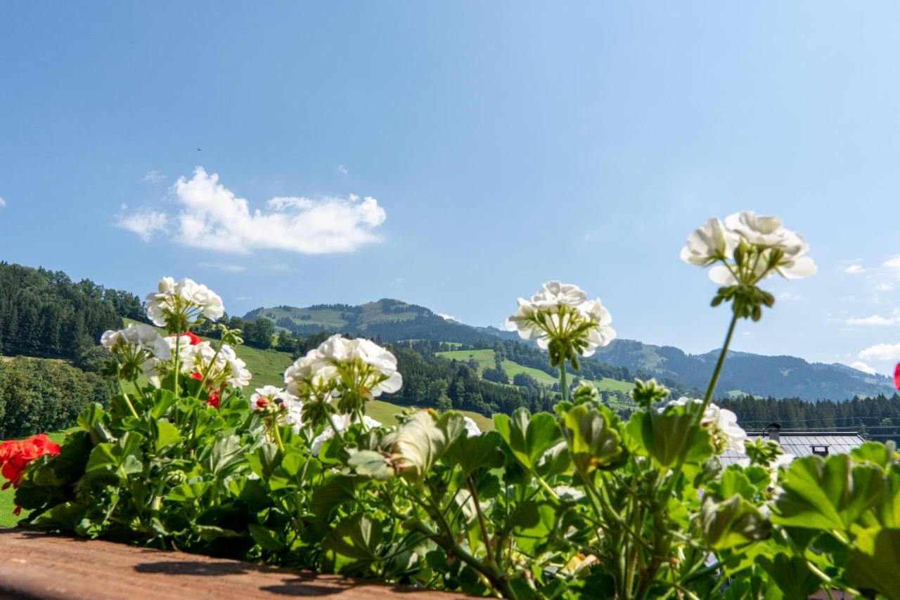 Hotel Kitz Garni Boutique Hotel 基茨比厄尔 外观 照片